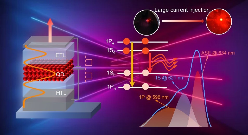 Electrically pumped QLED achieves surface-emitting light amplification