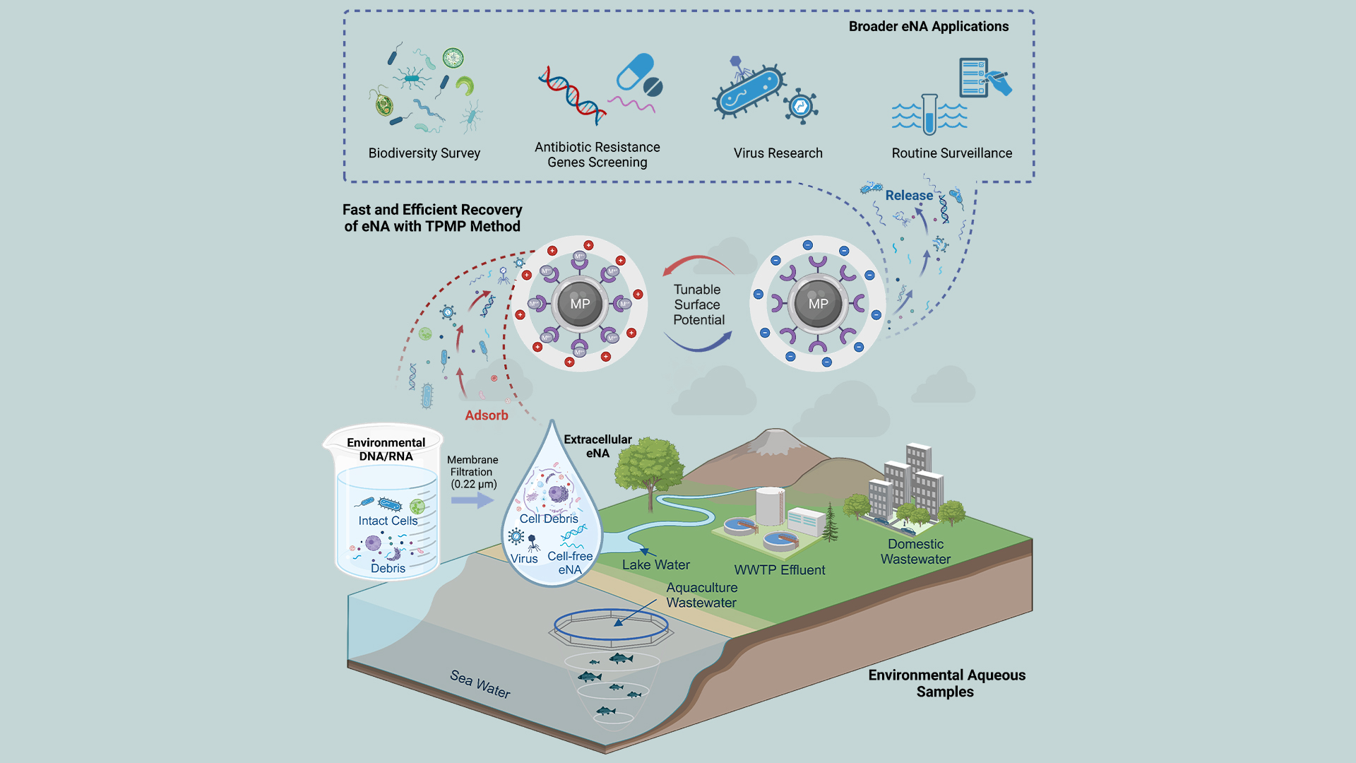 Tunable magnetic nanomaterials enable faster and more efficient eNA extraction