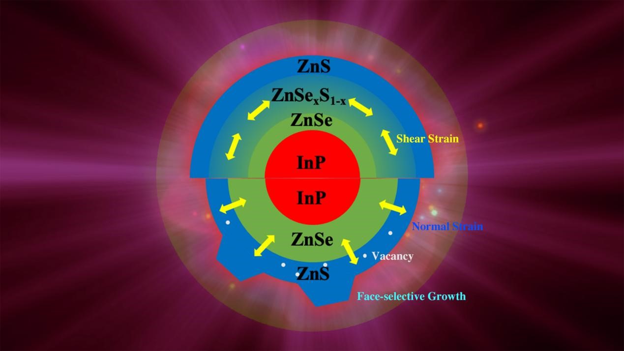 High-performance InP quantum dots open door to environmentally friendly display technologies