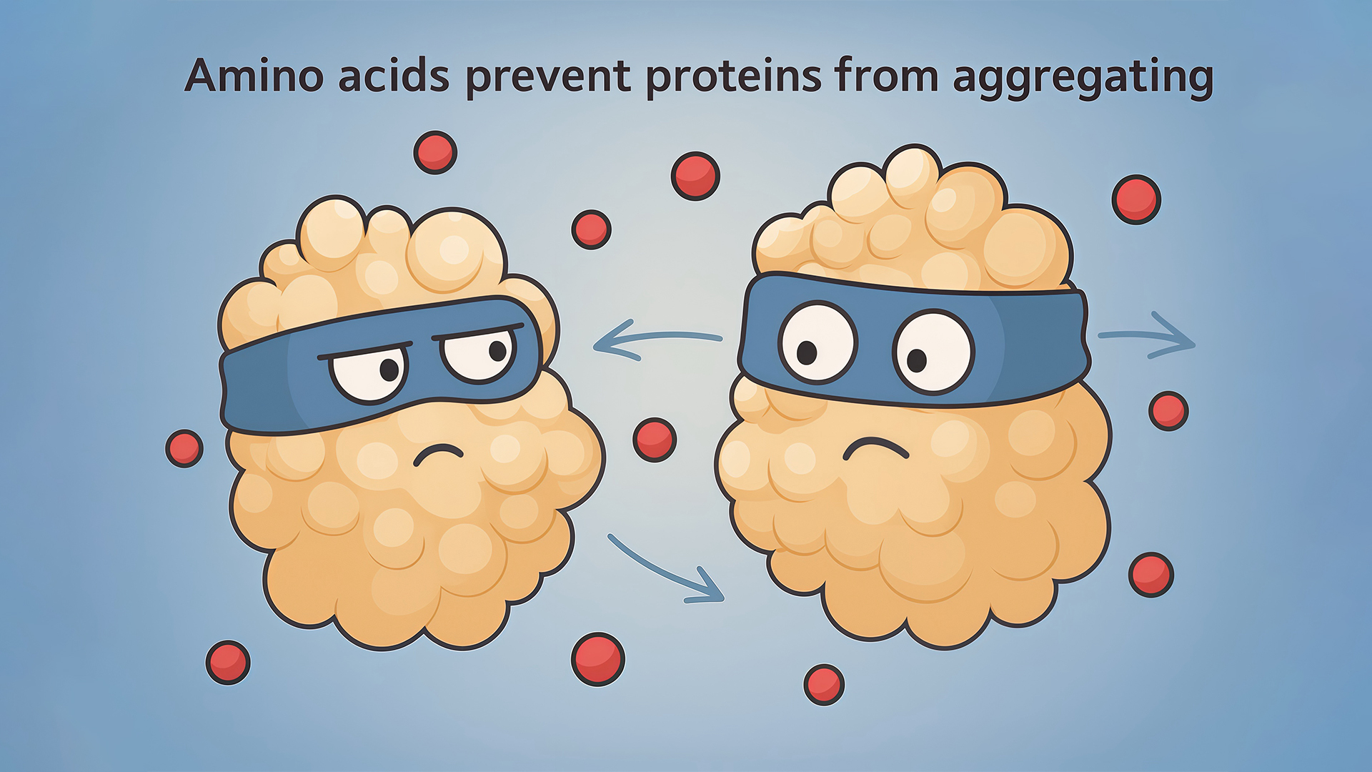 Amino acids provide universal key to stabilizing biomacromolecules