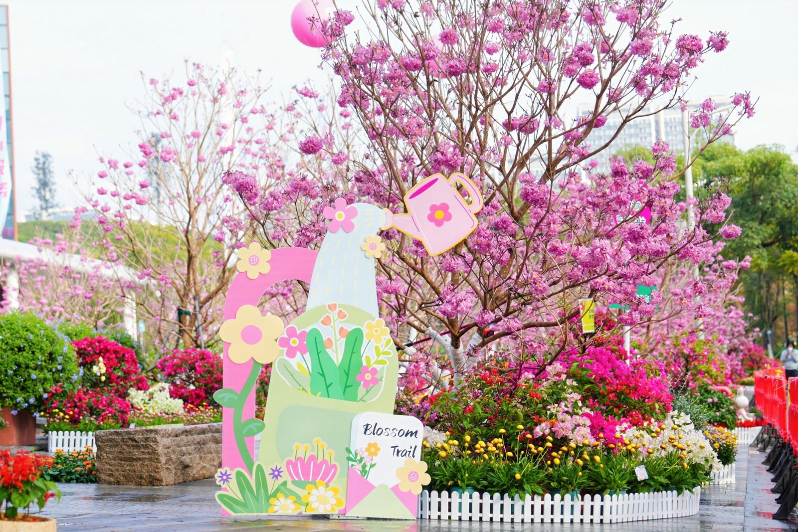 “Most Beautiful Campus – Tribute to Blooming Flowers” SUSTech holds Flower Viewing and Garden Tour