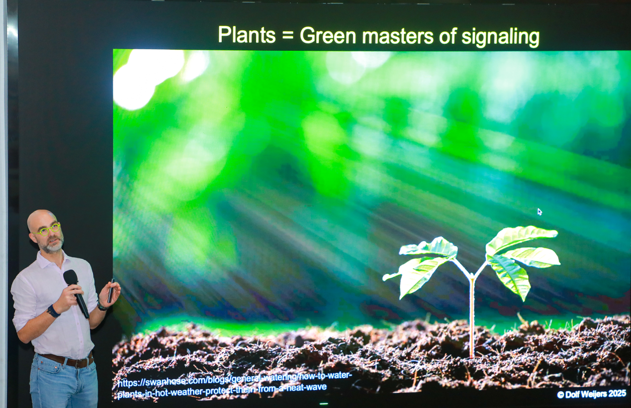 Academician Dolf Weijers Analyzes the Mechanisms of Temporal Regulation in Cell Signal Transduction