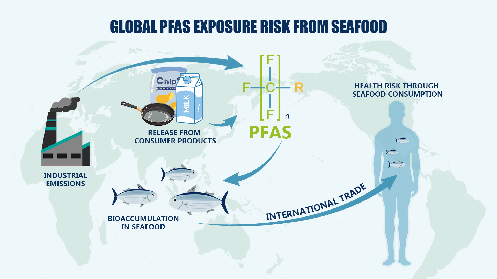 Global exposure risks to PFAS from marine fish consumption