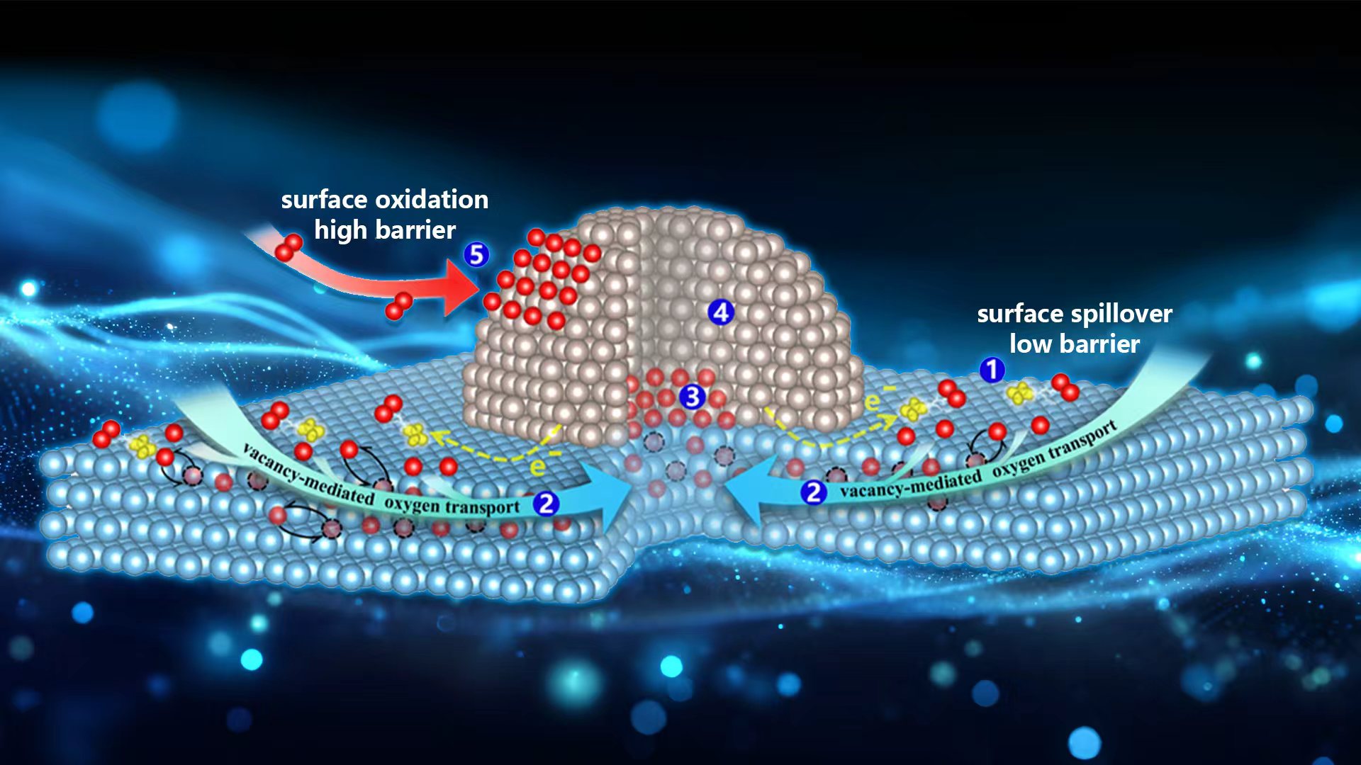 SUSTech team and collaborators reveal the hidden pathway of oxygen spillover in catalysis