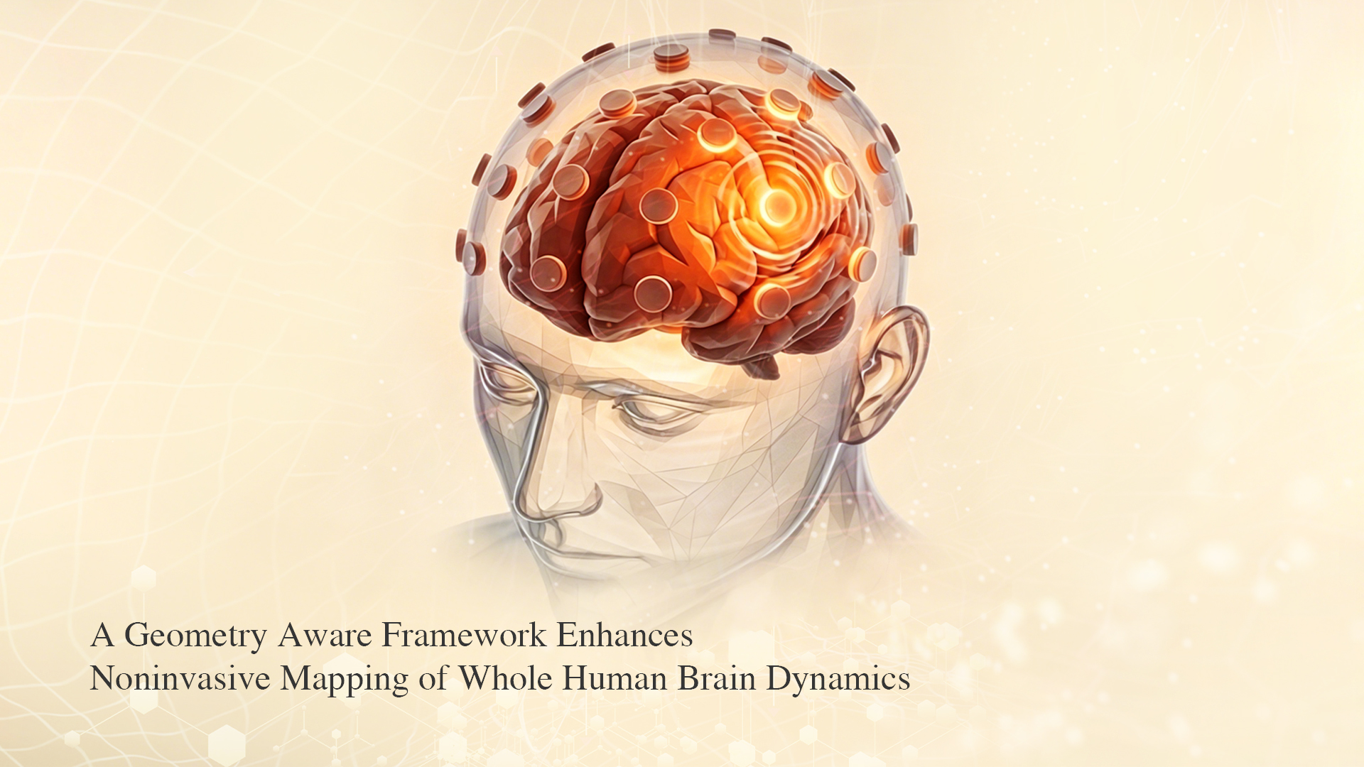 SUSTech Team Reports Advances in EEG/MEG Source Imaging