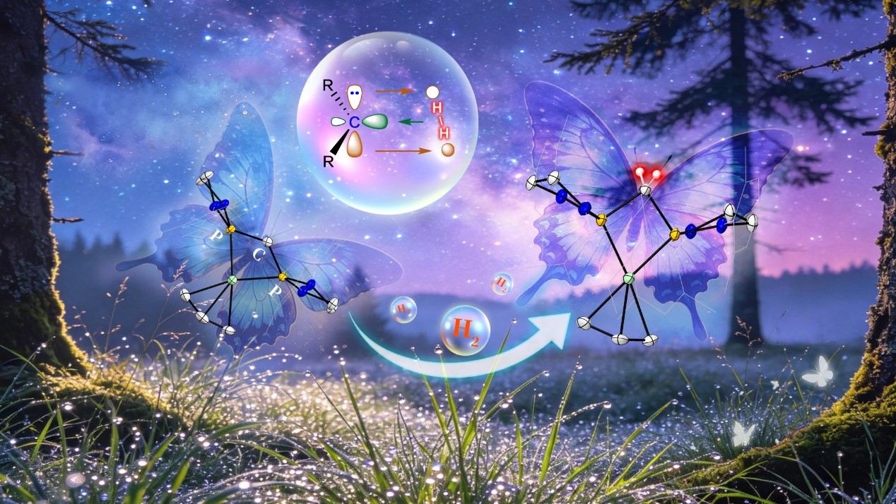 SUSTech Team Uncovers a New Mechanism for Hydrogen Activation by Stable Carbenes