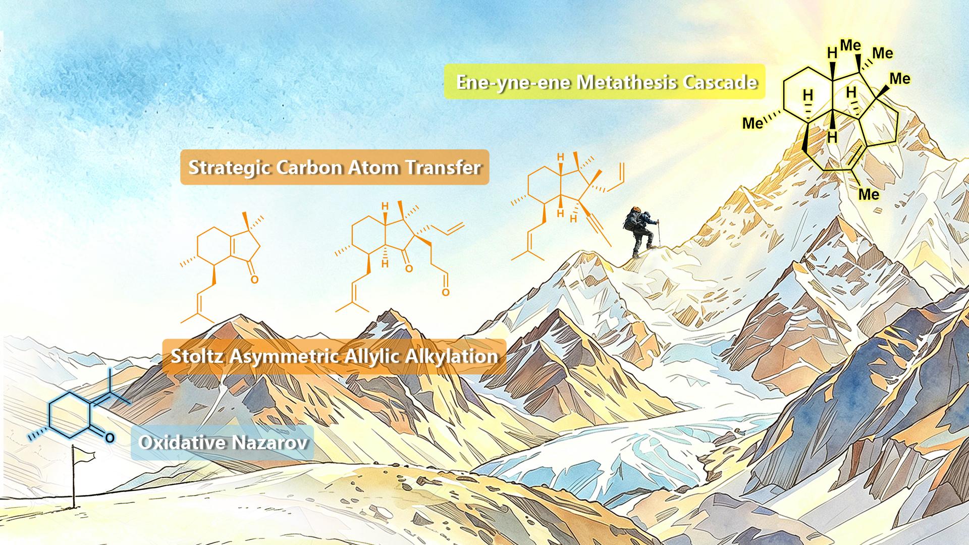 SUSTech Researchers Achieve New Breakthrough in Asymmetric Total Synthesis of Venezuelaene A