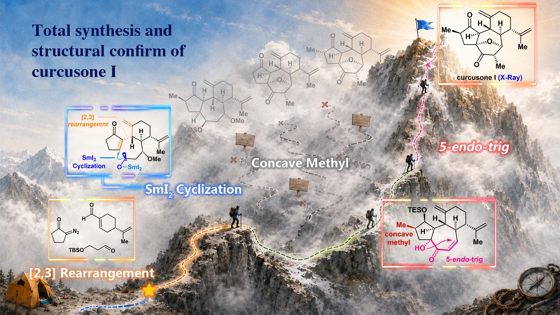 SUSTech Research Group Makes New Progress in Total Synthesis of Bridged-Ring Natural Products