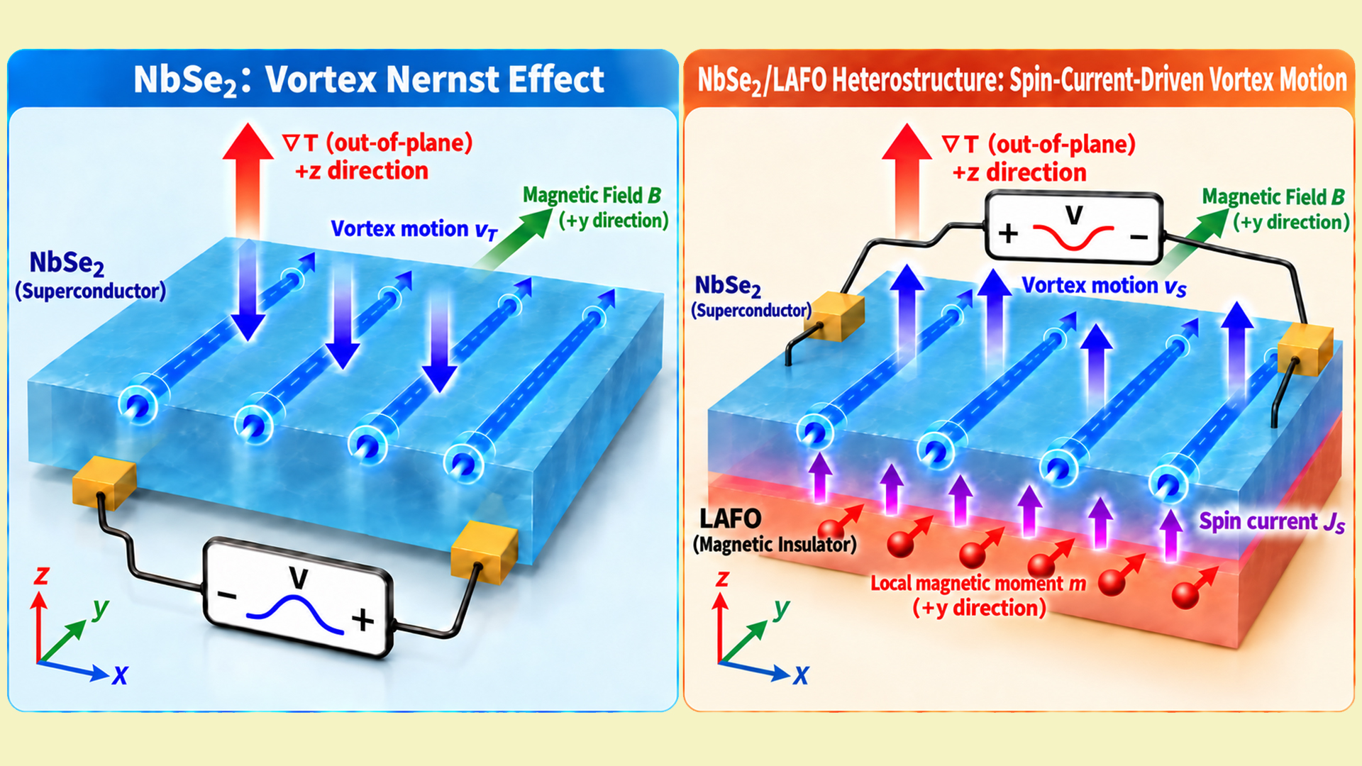 SUSTech Teams Achieve Vortex-Mediated Spin Current Injection into Two-Dimensional Superconductor