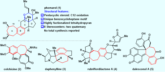 图1. Phomarol的结构特点以及具有苯并七元环的代表性天然产物.png