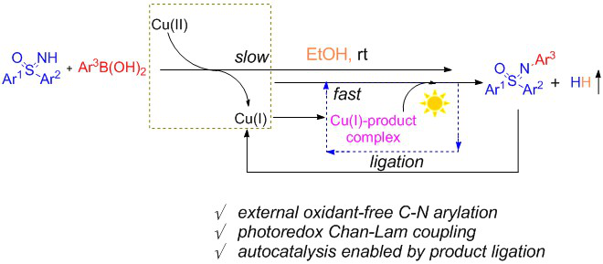 图1.光氧化还原的自催化Chan-Lam偶联.png