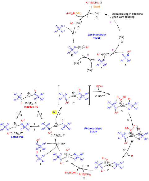 图2. 可能的催化循环.png