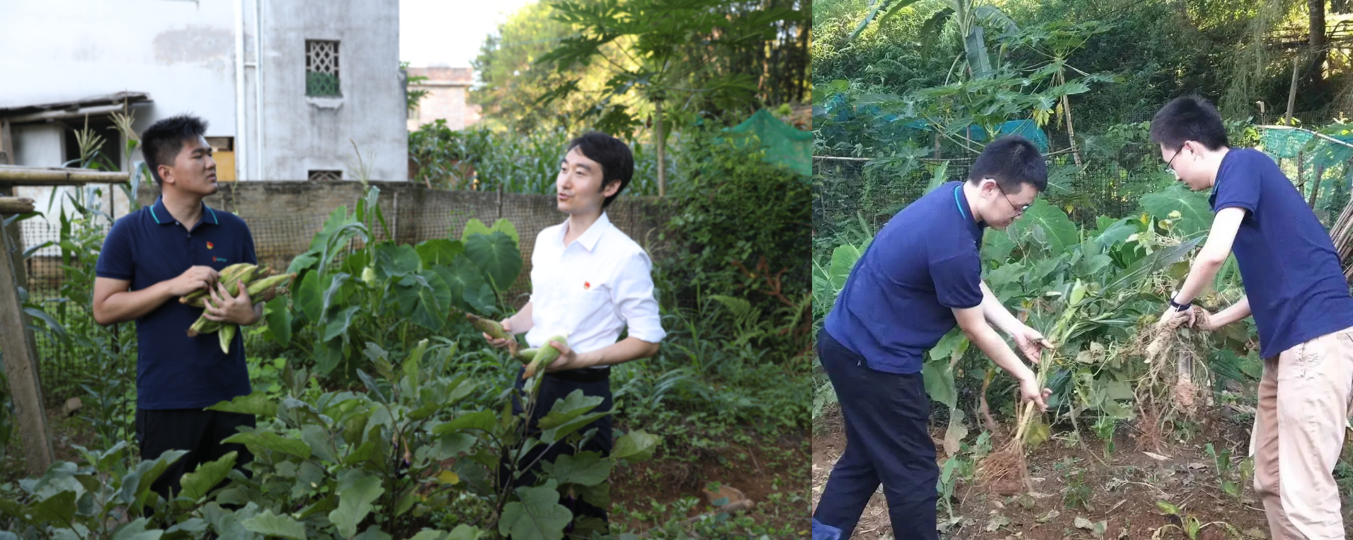 组合6.png