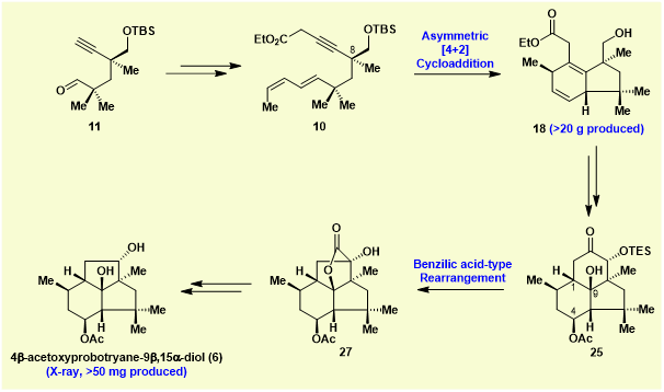 图2. 4-acetoxyprobotryane-9β,15-diol全合成路径示意.png