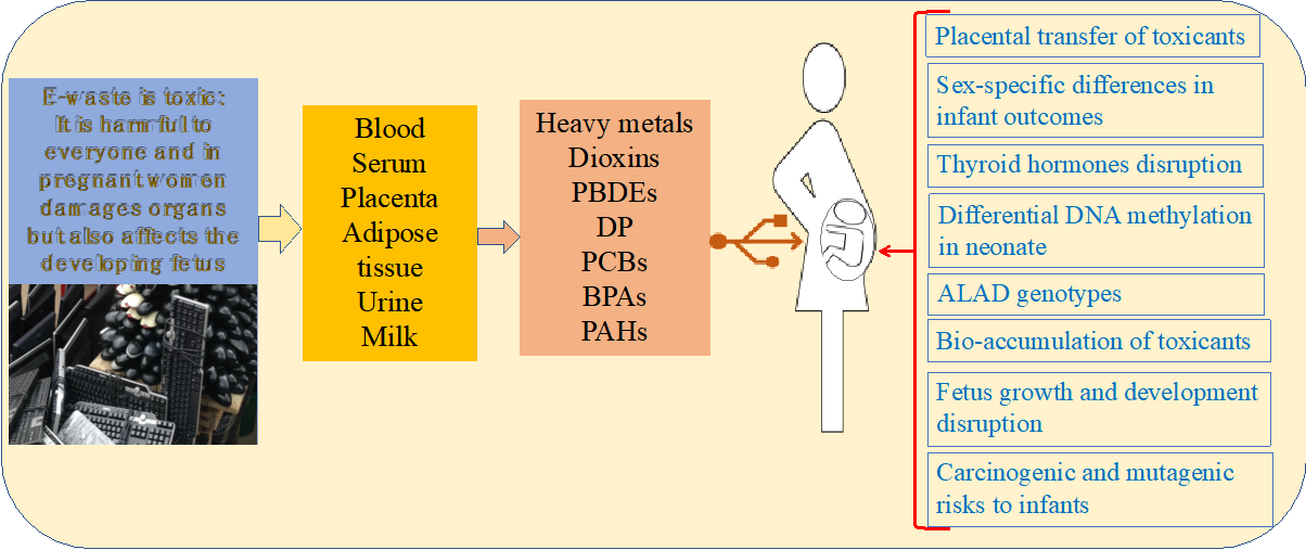 图3. 电子废物暴露对妊娠结局和新生儿健康的不良影响.png
